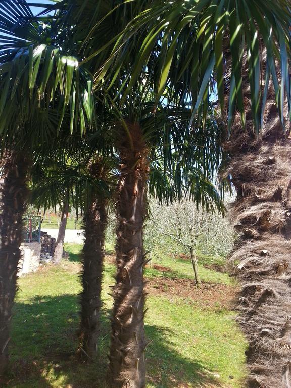 Villa Lara Karojba Pokoj fotografie